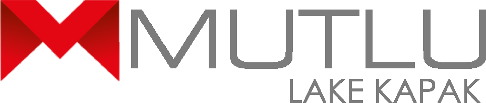 livosoft